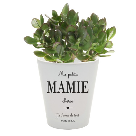 Pot fleurs - Mamie